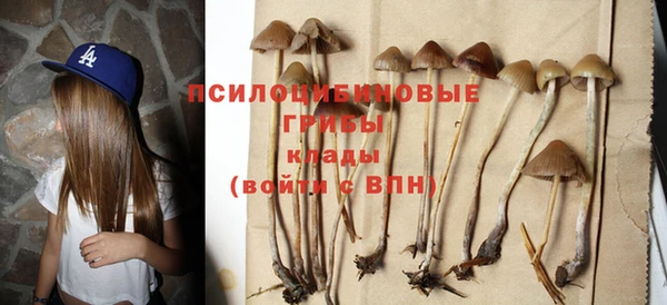 ешки Краснослободск