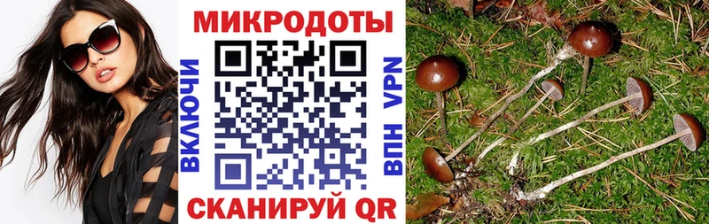 Купить закладки  Бердск  Галлюциногенные грибы Magic Shrooms 